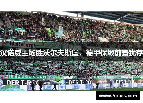 汉诺威主场胜沃尔夫斯堡，德甲保级前景犹存