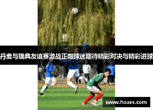 丹麦与瑞典友谊赛激战正酣球迷期待精彩对决与精彩进球