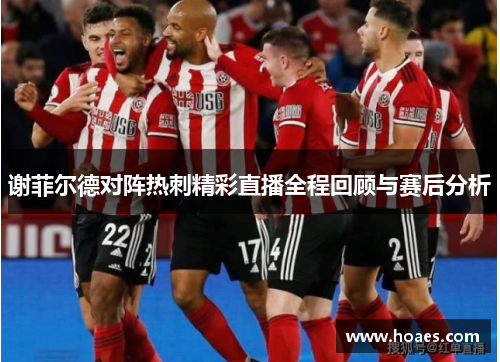 谢菲尔德对阵热刺精彩直播全程回顾与赛后分析